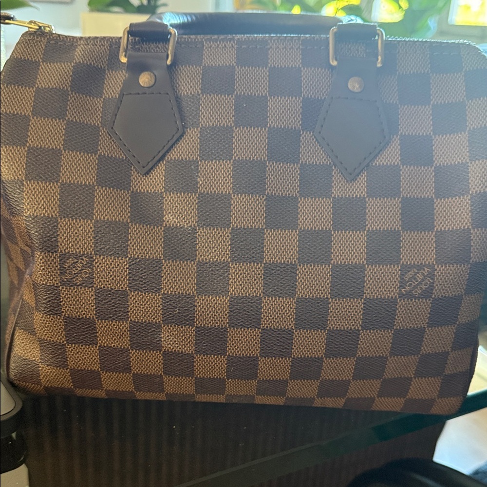 Louis Vuitton Speedy Checkered purse